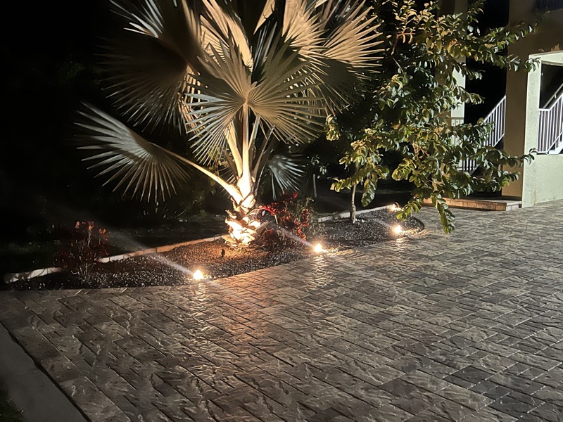 Landscape2 — Far Out Design, Pinellas County FL